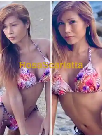 Asiatica trans