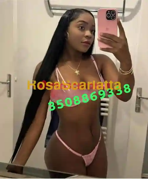 Foto 2 di Sofia, escort a Padova