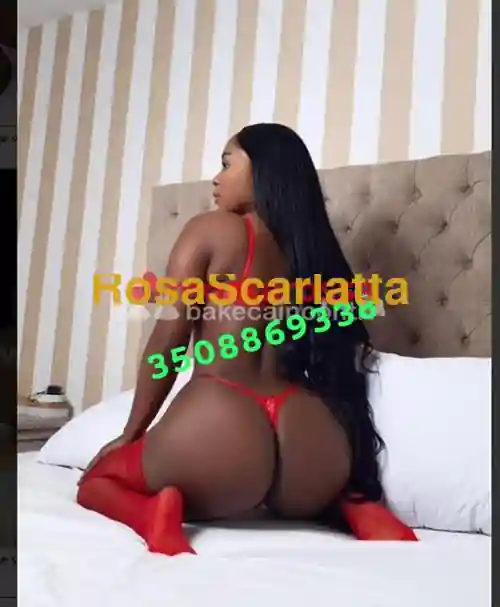 Foto 3 di Sofia, escort a Padova