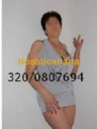 Foto 1 di Luca, escort a Varese