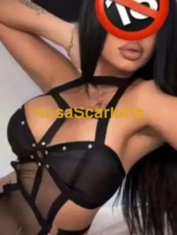 New