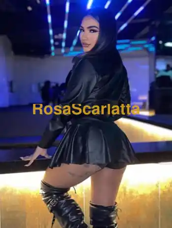 Sofia brasiliana - Torino