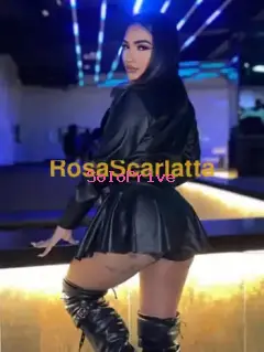 Sofia brasiliana