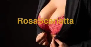 Foto 2 di Luisa, escort a Bologna