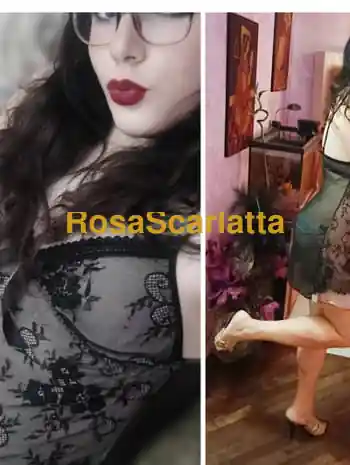 Transitaliana - Viareggio