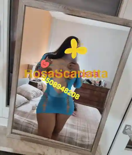 Foto 3 di Sofia, escort a Moncalieri