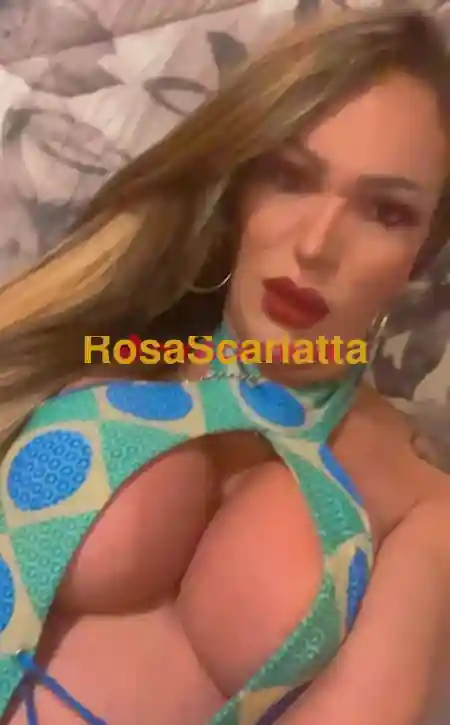 Seconda immagine della gallery