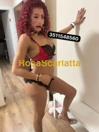 Cataleya sensual