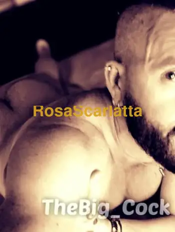 Giorgio thebigcock - Collegno