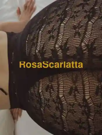 Sofia