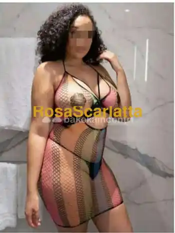 Nicol jesi