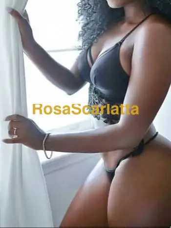 Vanessa