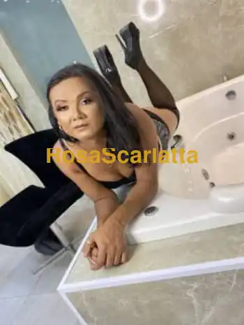 gaby trans in zona asti bella, affascinante, sensuale… tutta da scoprire… **
gabriela trans in zona asti bella, affascinante, sensuale