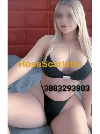 New
