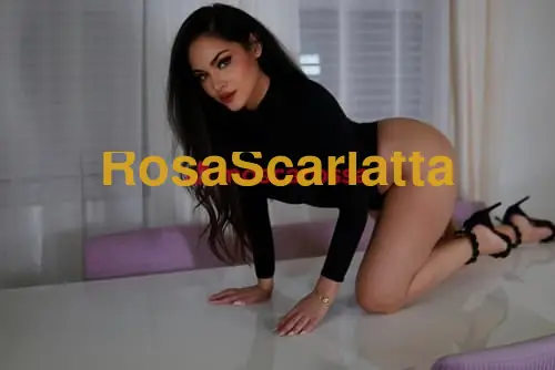 Seconda immagine della gallery