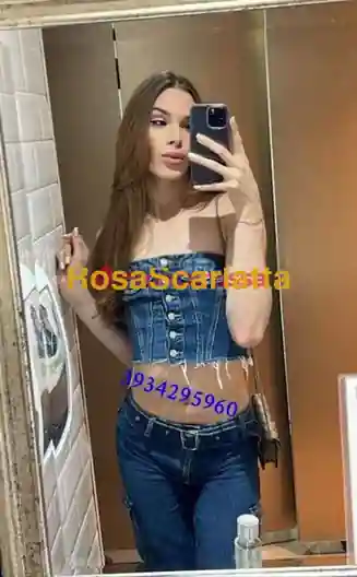 Seconda immagine della gallery