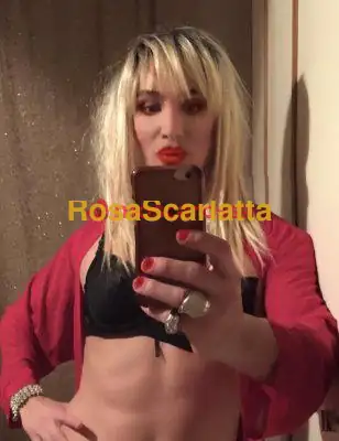 Foto 2 di Melissa, trans a Riccione