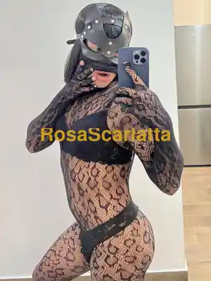 Bruna brasiliana