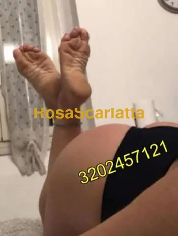 Vanessa