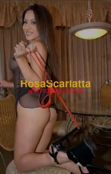 Foto 2 di Marcella, escort a Vicenza