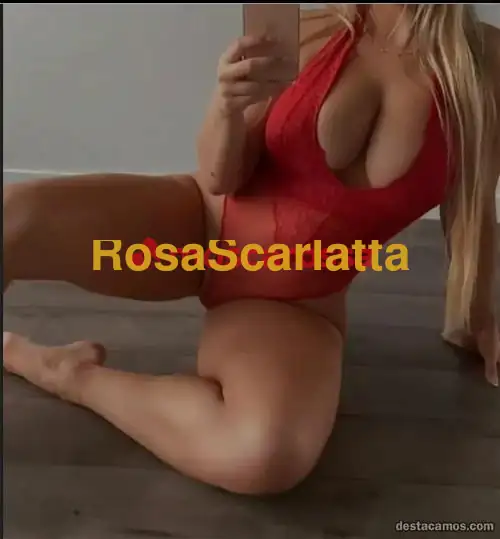 Foto 2 di Alesandra, escort a Grosseto