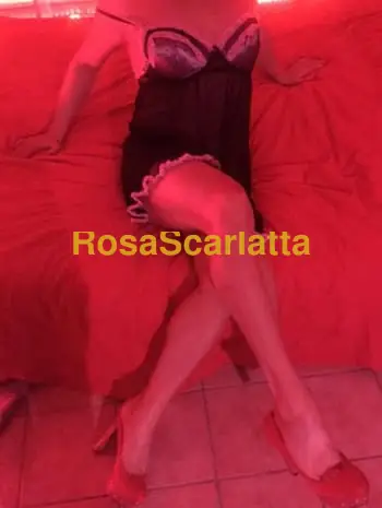 Alexa tranny