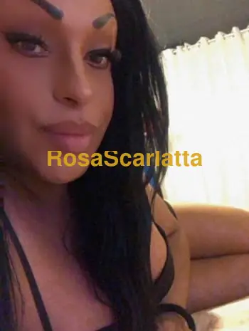 Prima immagine della gallery