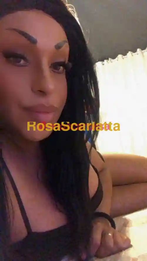 Seconda immagine della gallery