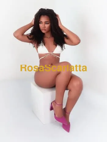 Maia
