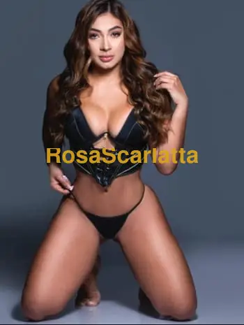Sofi