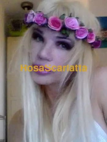 Draulina