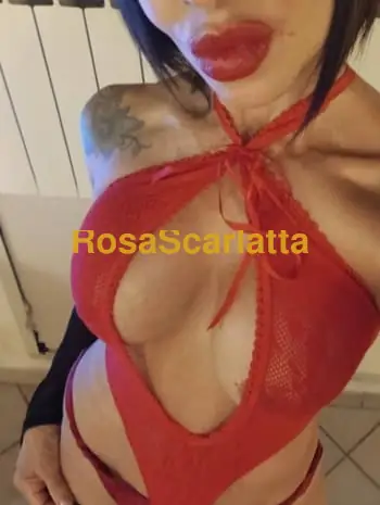 Daniela fitness - Diano d'Alba