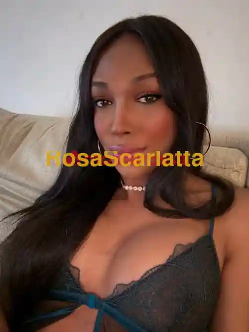 Seconda immagine della gallery