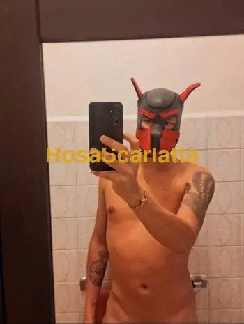 Alielson - Gigolò Bologna