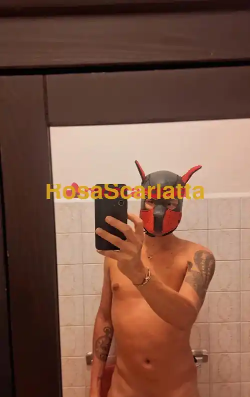 Foto 3 di Alielson, gigolò a Bologna