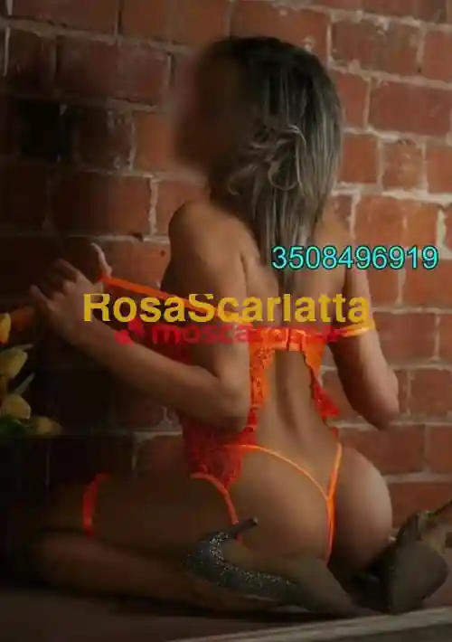 Foto 3 di Maya, escort a Lugo