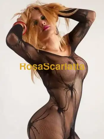 Trans spagnola - Imperia