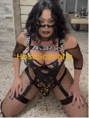 Miriam trans