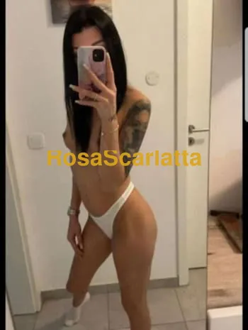 New