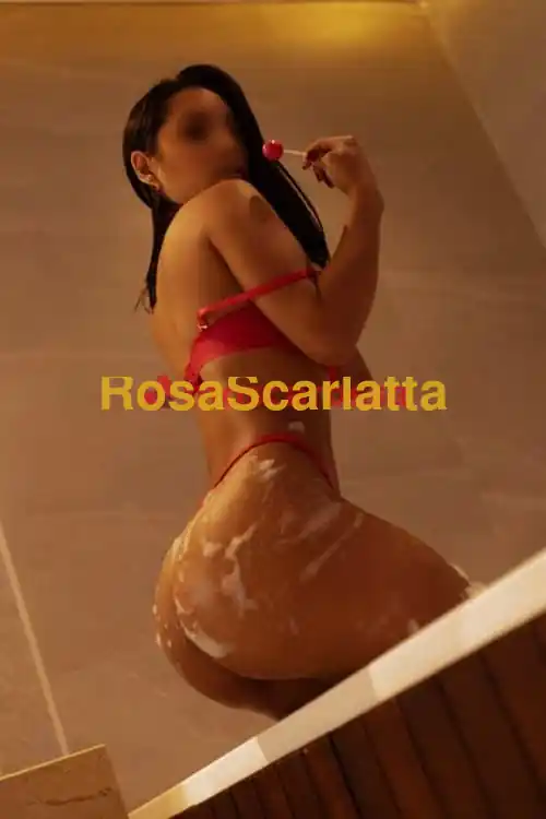 Foto 3 di Asly, escort a Acqui Terme