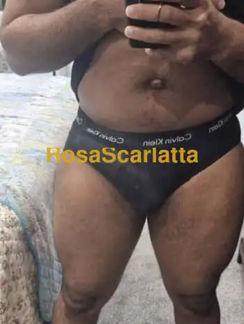 Diego latino