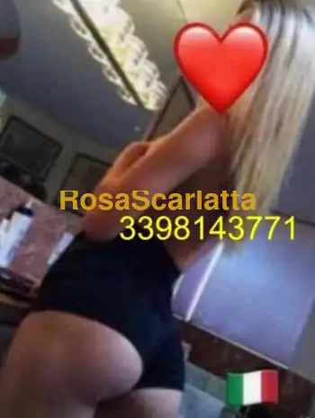 New