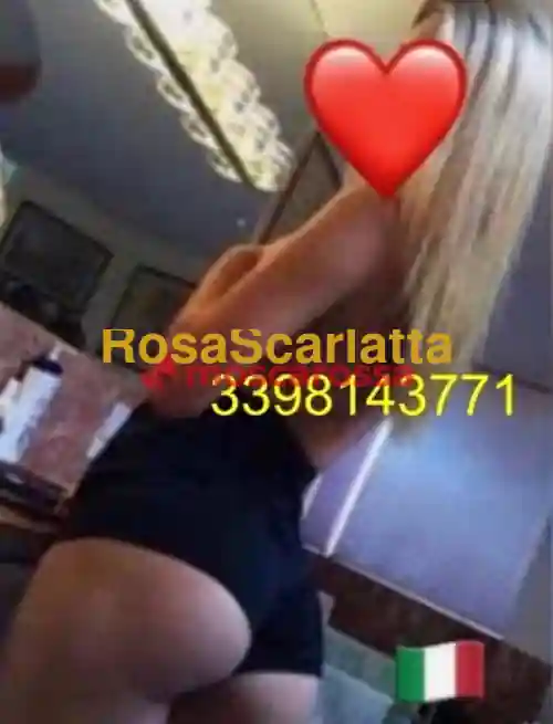 img_2.jpg