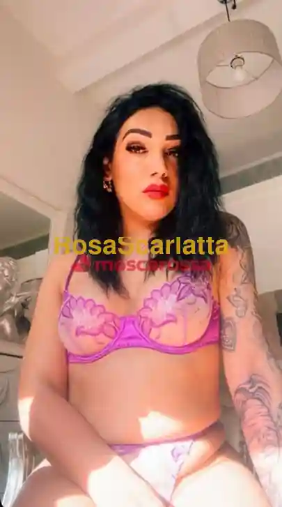 Foto 2 di Scopami sono la tua troia, escort a Palermo