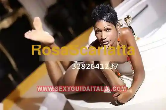 SHARON DINAMICA - Alessandria