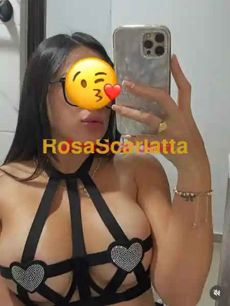 Foto 3 di Laura, escort a Busto Arsizio