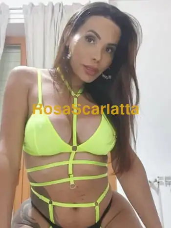 Vanessa