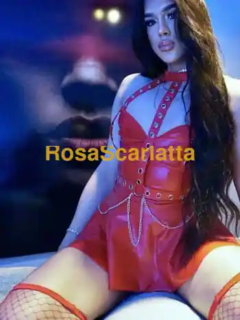 Daniela - Trans Palermo