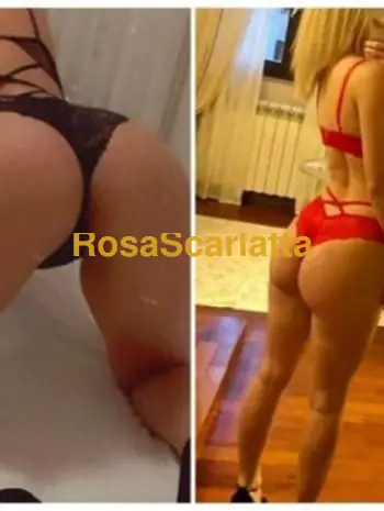 Amelia