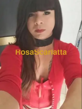 Roberta xxl